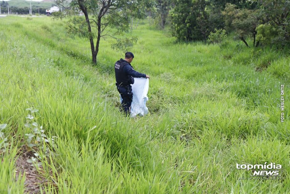 A vítima morreu na mata ao lado da BR-262