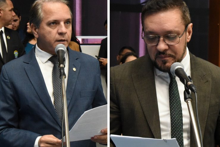 Deputados fazem parte do Conselho de Segurança