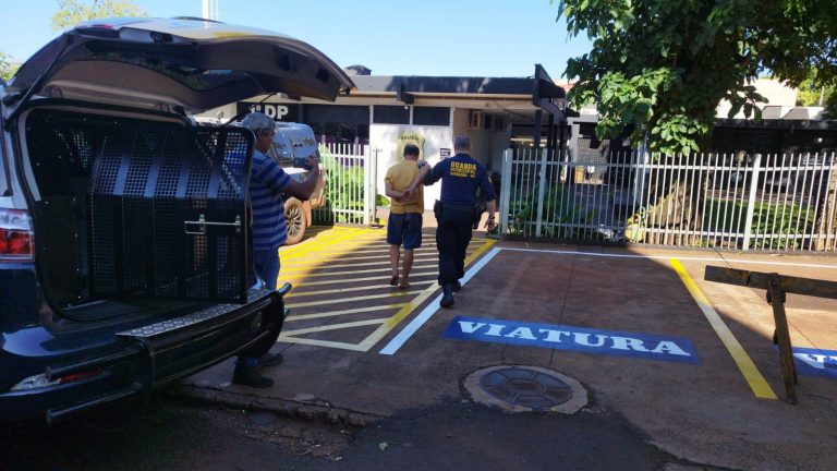 Após ser preso, homem foi levado e entregue ao 1&ordm; DP pela GMD 