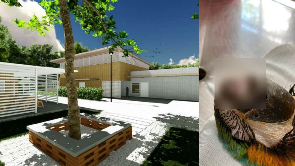 Perspectiva de hospital