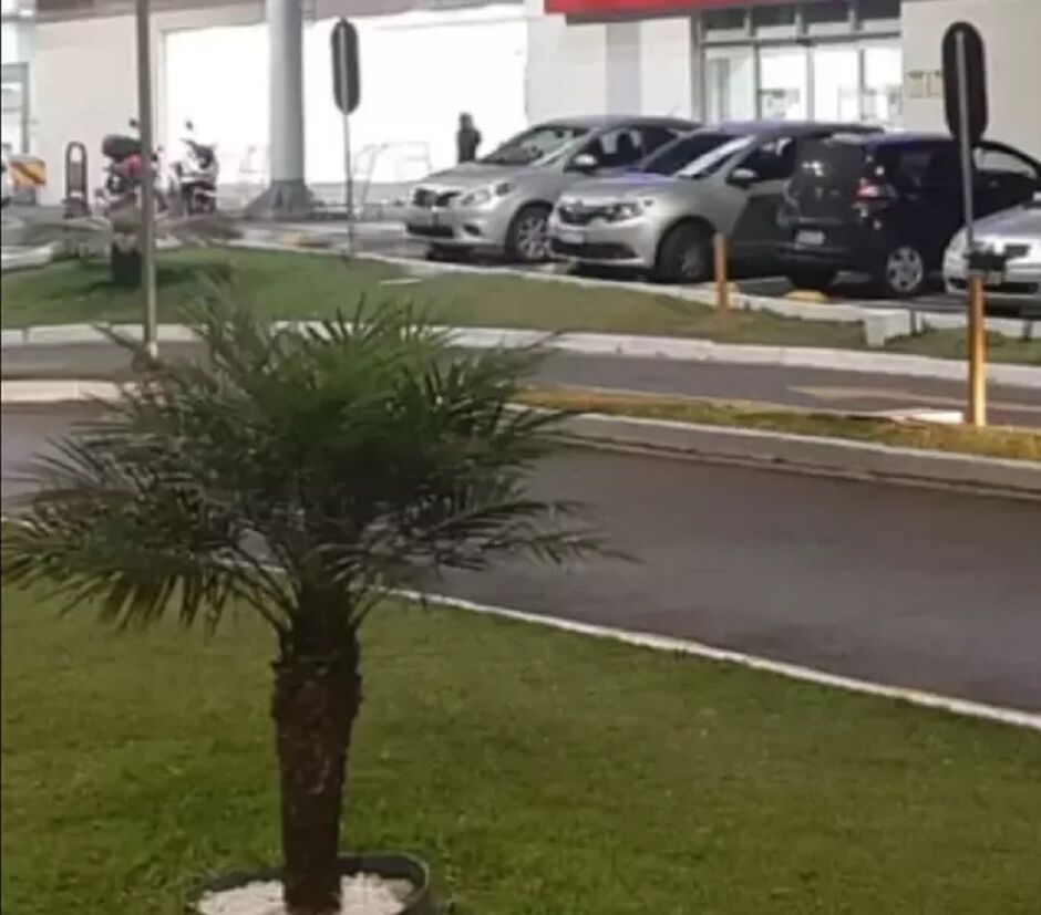 Responsáveis pelas crianças também serão ouvidos pela polícia local