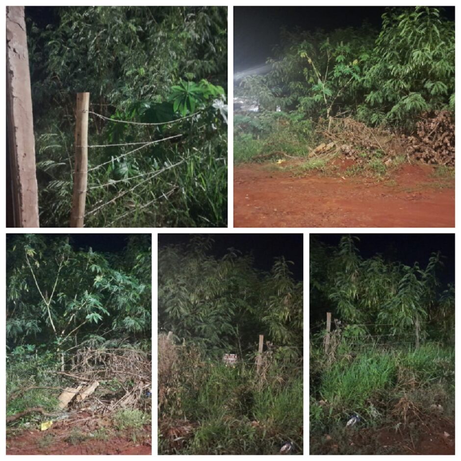 Terreno está completamente abandonado