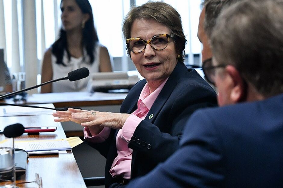 Senadora esclareceu invasão de fazenda 