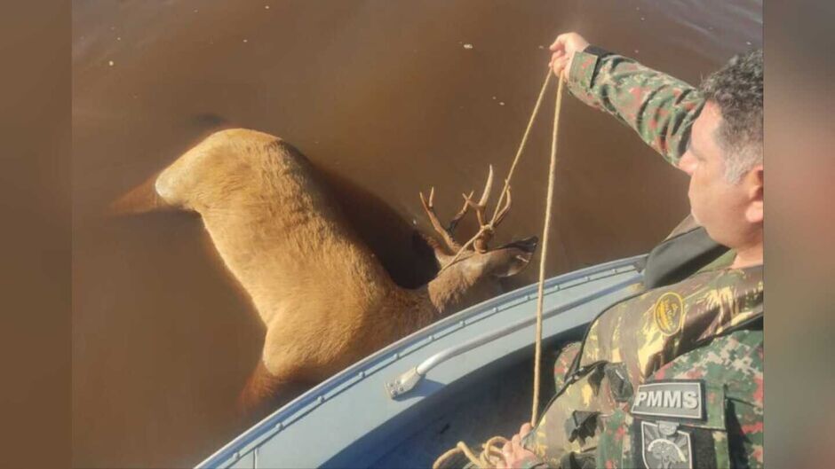 Equipe não conseguiu determinar a causa da morte