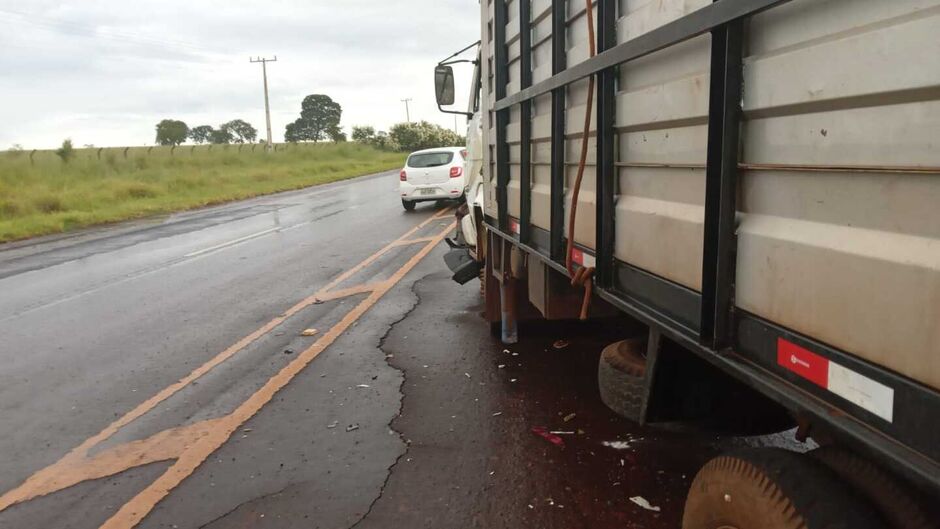 O caminhão carrega gado