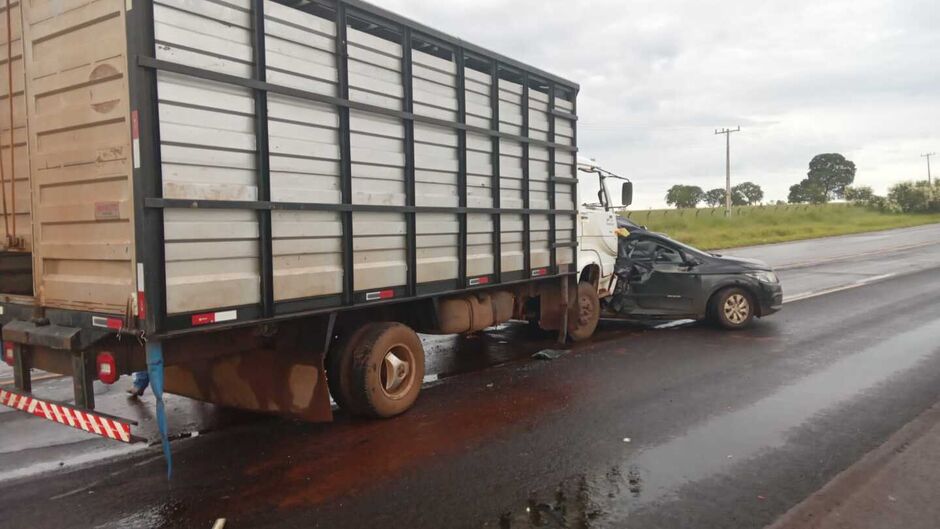 O caminhão carrega gado