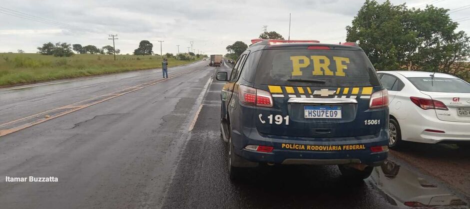 O caminhão carrega gado