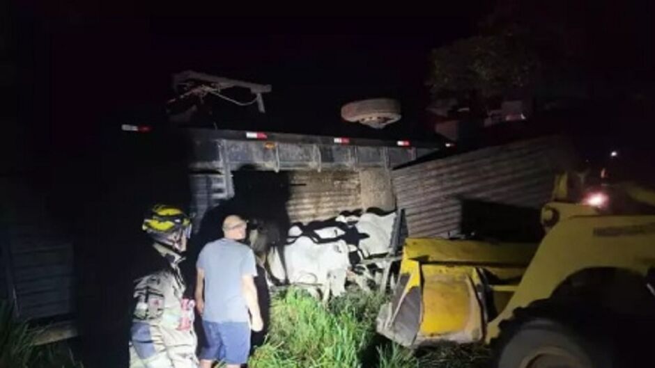 Todo o gado foi resgatado com vida e motorista saiu ileso do acidente