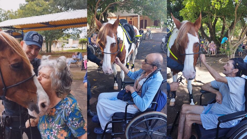 Idosos deram todo o seu carinho para os animais
