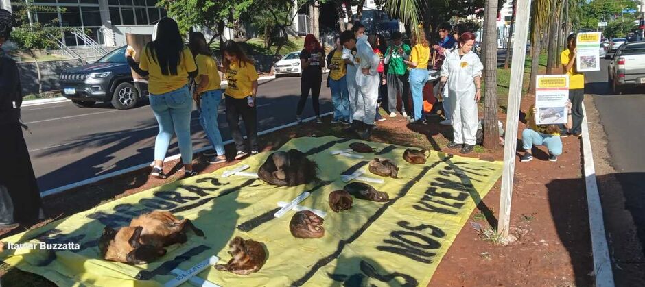 Ambientalistas pedem providência para evitar a morte de animais em MS