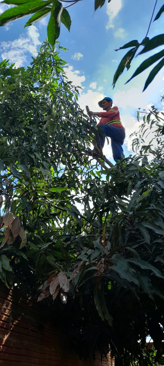 Marciel  conseguiu aumentar demando de trabalho 