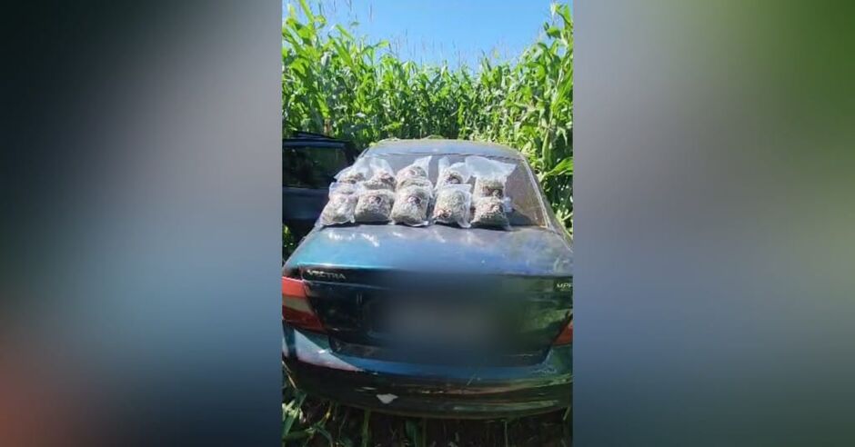 No veículo haviam 500 Kg de maconha e 5Kg de skank