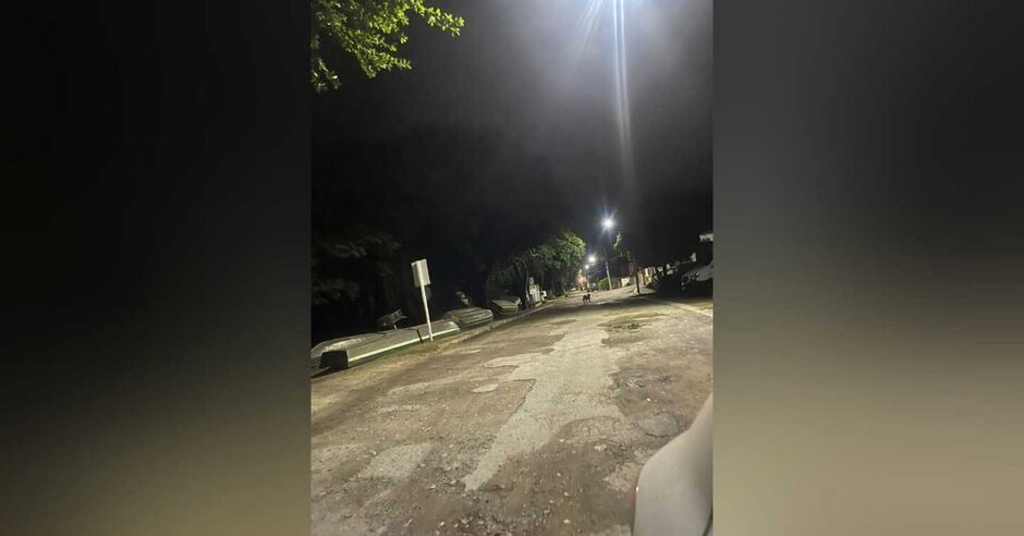 Felino foi visto passeando em uma das ruas da cidade