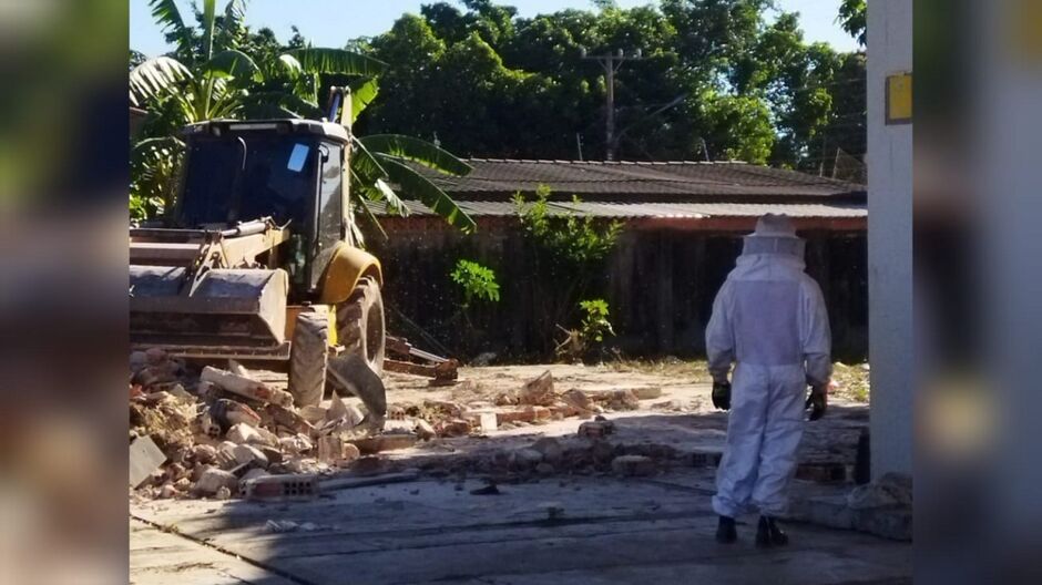 Operário ficou retiro até extermínio das abelhas 