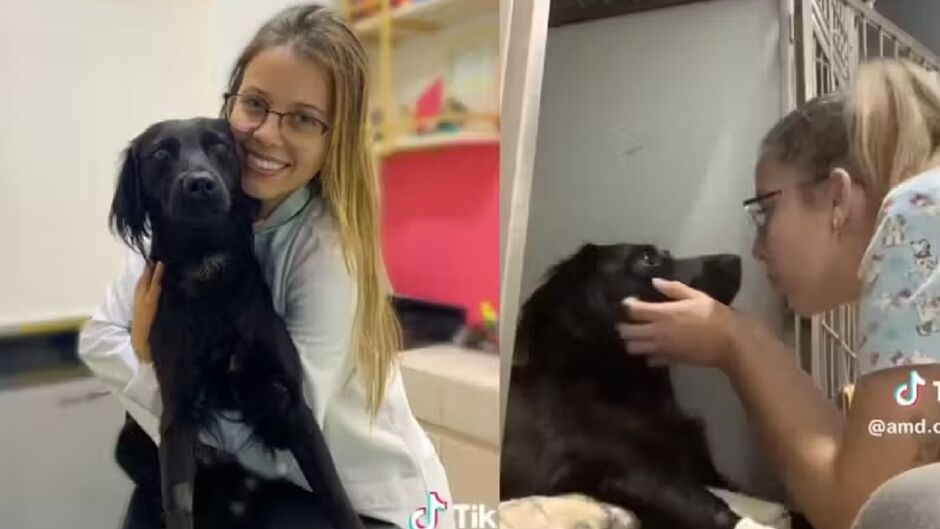 Neguinha é puro amor. Como é que tem gente que acha que bicho não entende as coisas?