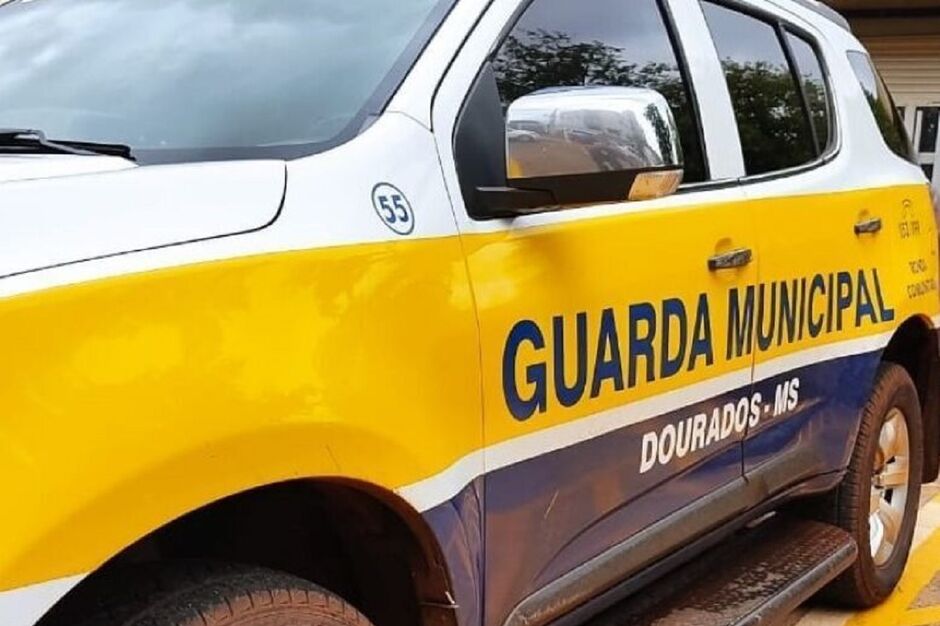 Caso foi atendido pela Guarda Municipal de Dourados