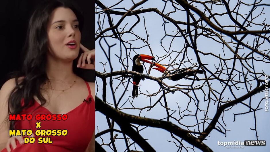 A fala agitou a galera de MS que concordou com a famosa