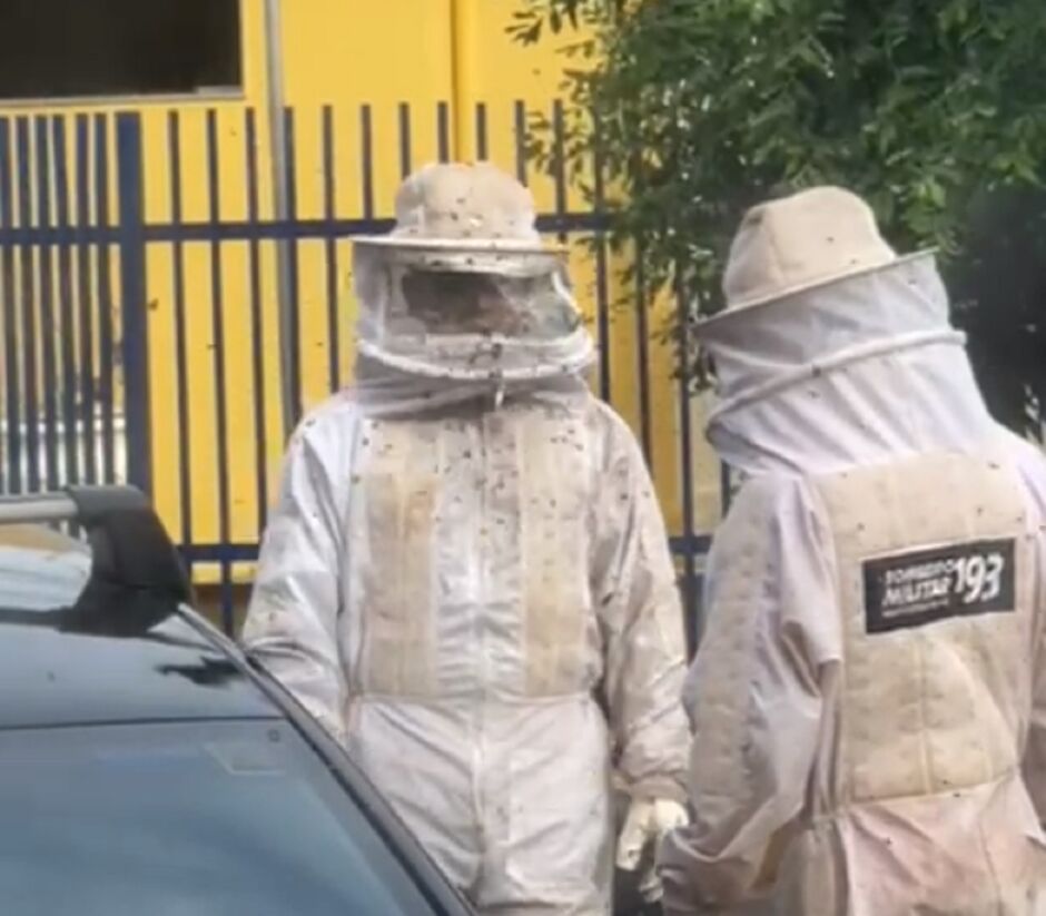 Mulher e cavalo foram atacados por abelhas 