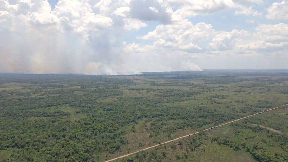 Fogo se alastra rapidamente de Pantanal do MT para Pantanal de MS