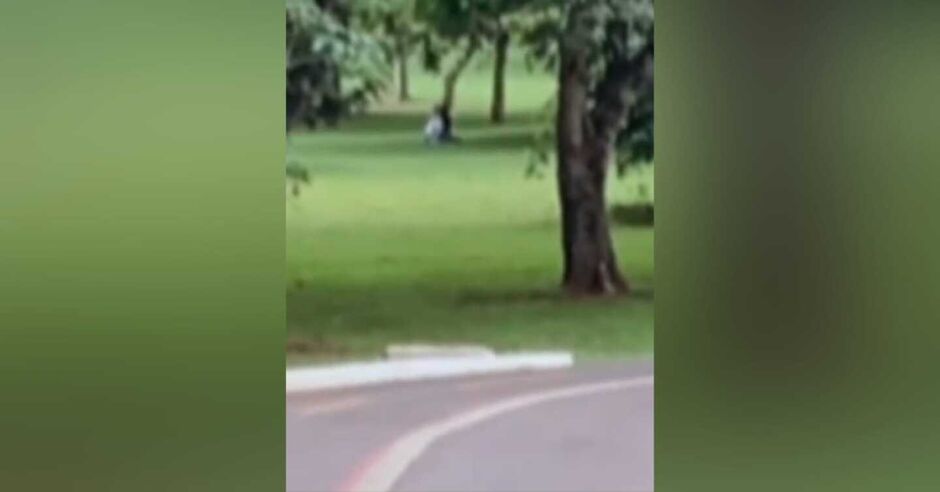 Casal flagrado fazendo sexo em parque, em pleno a luz do dia