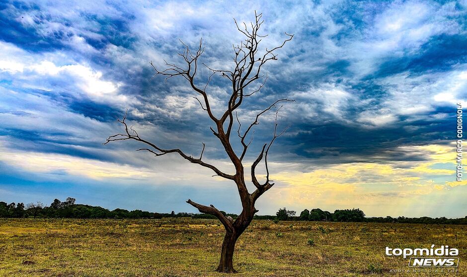 Céu de Campo Grande nesta manhã