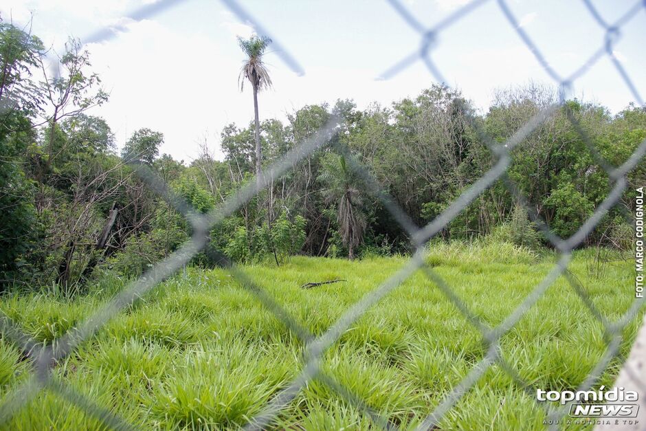 Local onde foram feitos os disparos