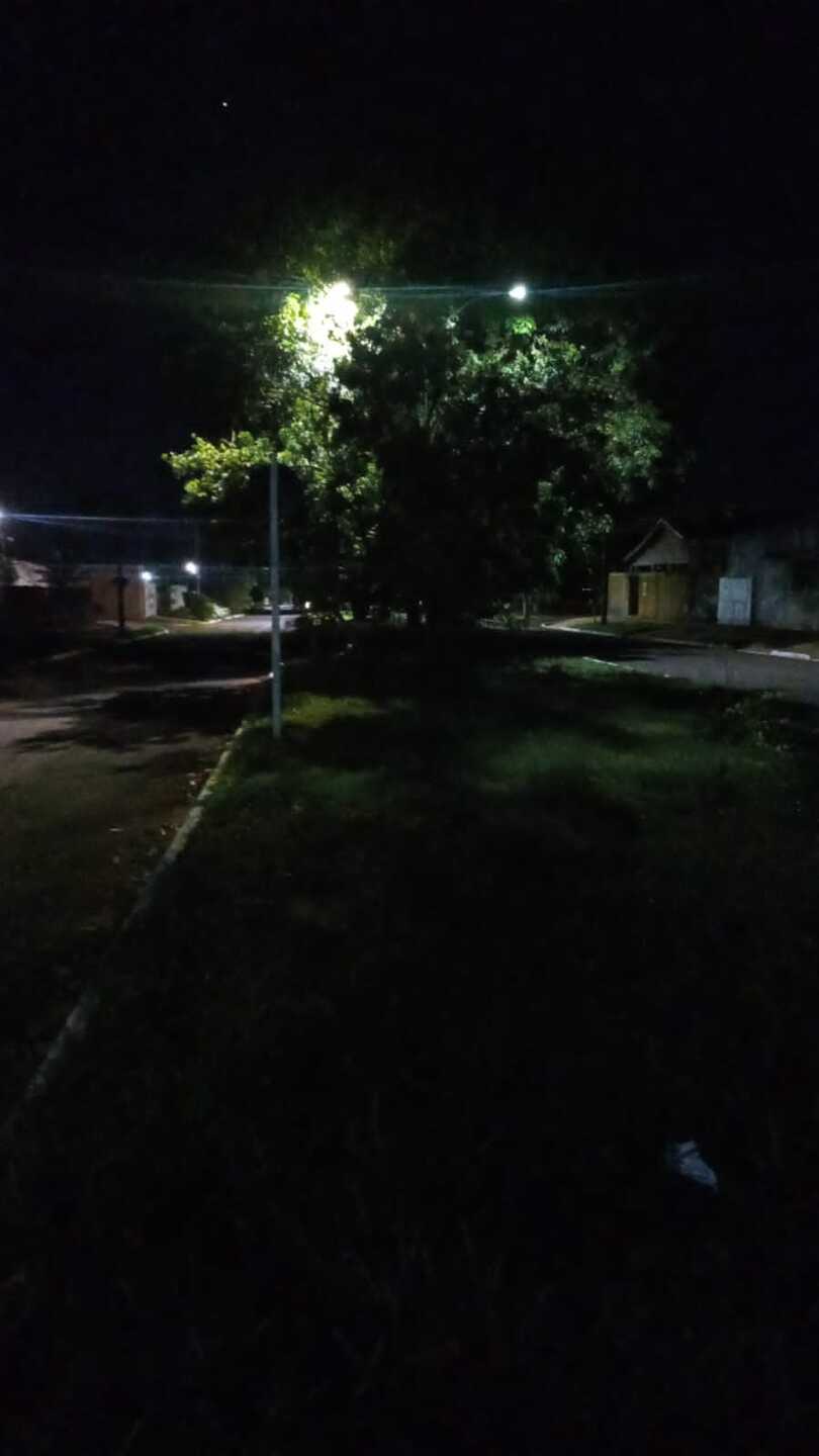 Folhas encobrem as l&acirc;mpadas e dificulta a ilumina&ccedil;&atilde;o na regi&atilde;o 