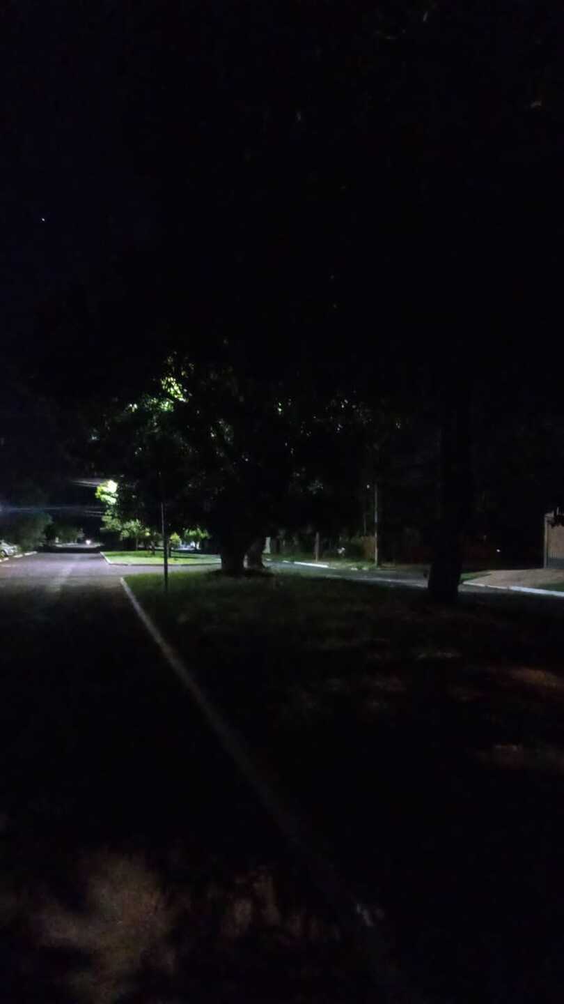 Folhas encobrem as l&acirc;mpadas e dificulta a ilumina&ccedil;&atilde;o na regi&atilde;o 