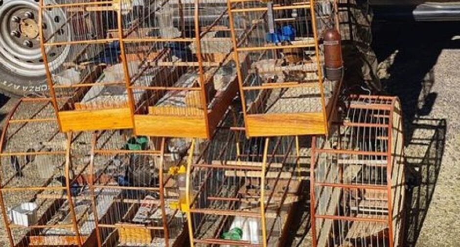 Projeto é do deputado Jamilson Name 