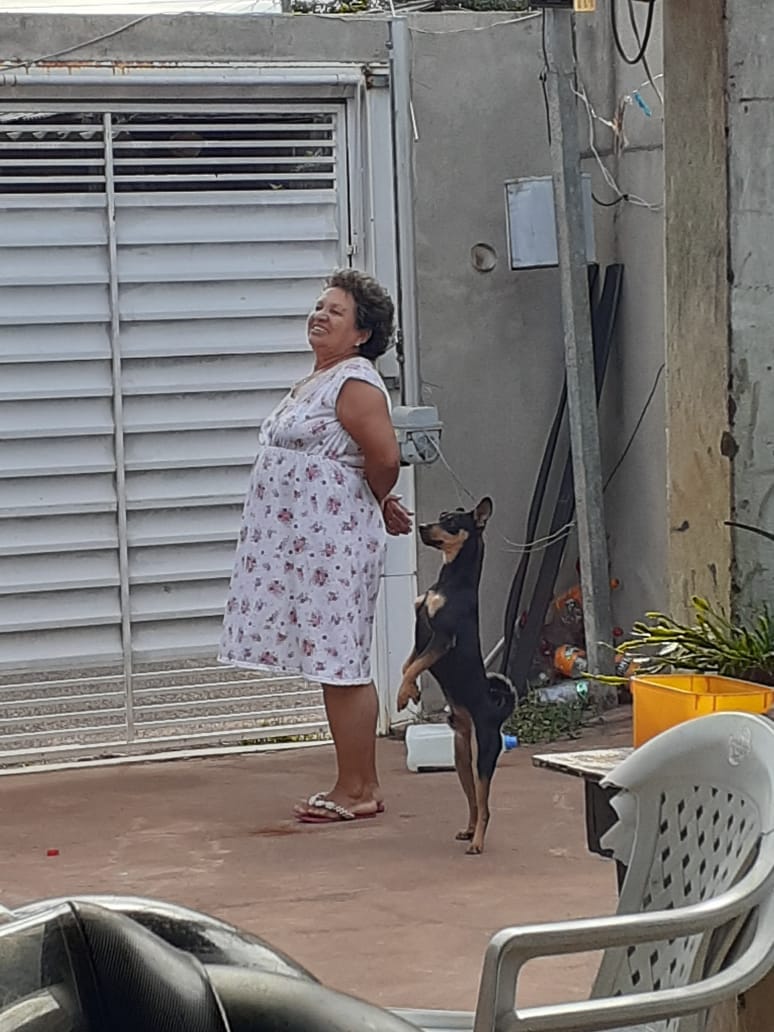 Negão é companheiro de senhora que faz apelo para ter o cachorro de volta