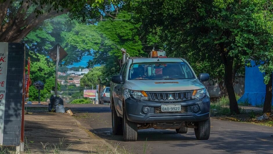 Mosquito tamb&eacute;m transmite zika e chikungunya