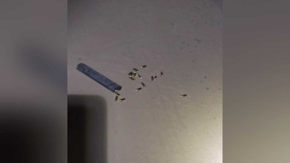 Execu&ccedil;&otilde;es tamb&eacute;m ocorrem &agrave; luz do dia 