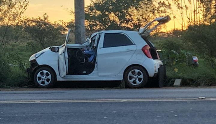 Homem é atacado por abelhas após acidente de carro