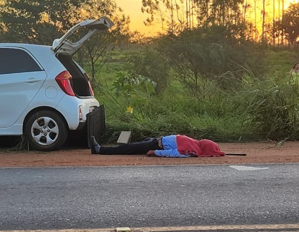 Homem é atacado por abelhas após acidente de carro