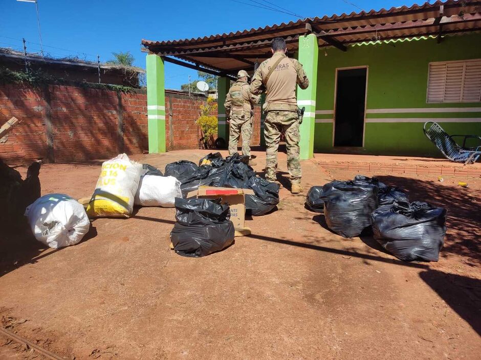 Drogas apreendidas na residência