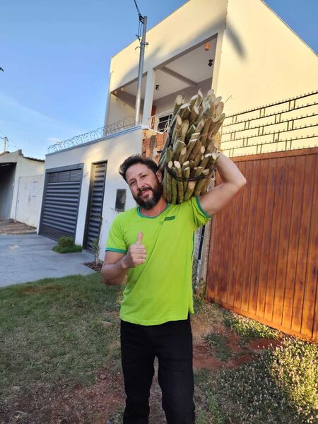 Self-service de caldo de cana faz sucesso no bairro, e atrai gente de várias regiões de Campão