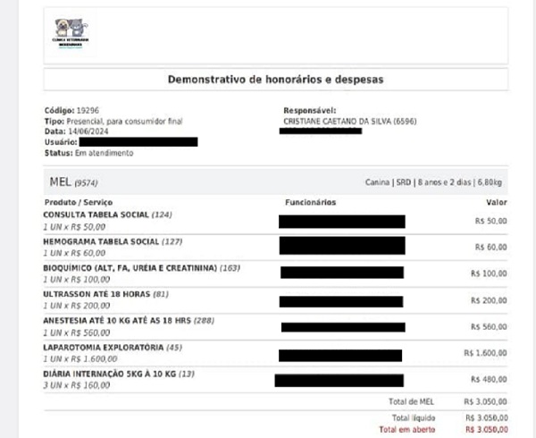 Dona faz apelo para pagar cirurgia da cadela Mel 