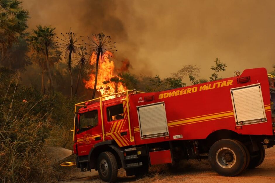 Bombeiros montaram 12 bases no bioma