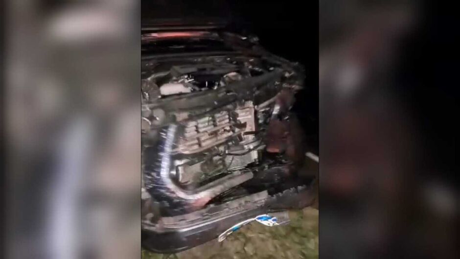 Anta é atropelada por caminhonete que fica com a frente destruída na BR-060 em Jardim 