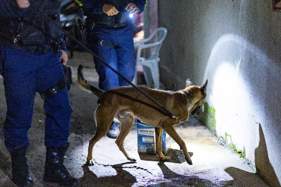 O saldo da atuação da GCM e da Polícia Civil foram 90 pessoas e 48 veículos abordados