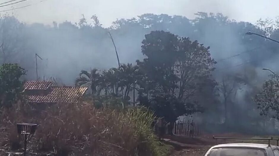 Fogo se espalha rapidamente pela vegetação 