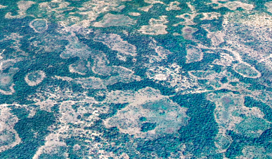 Terremoto no pantanal