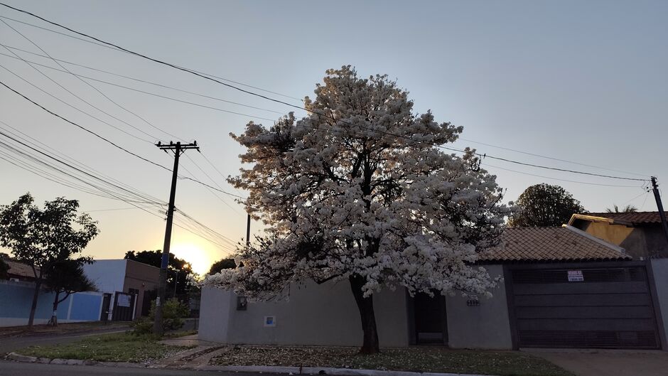 Nesta segunda, Campo Grande marca mínima de 18&ordm;C e máxima alcança os 36&ordm;C