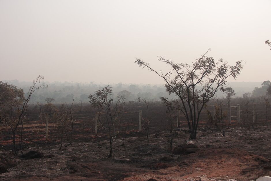 Árvores, vegetação rasteira e foram totalmente destruídas pelo fogo