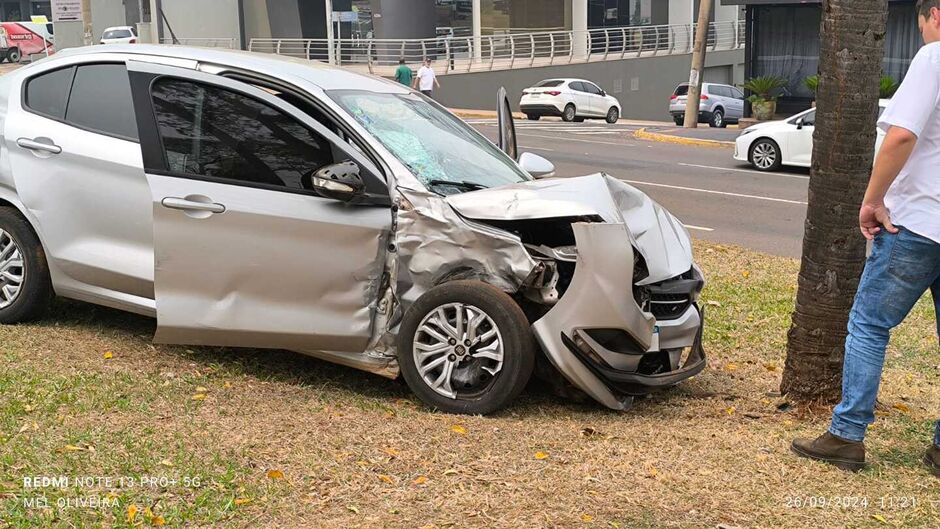 O carro dela chegou a subir o canteiro central e bater contra uma árvore