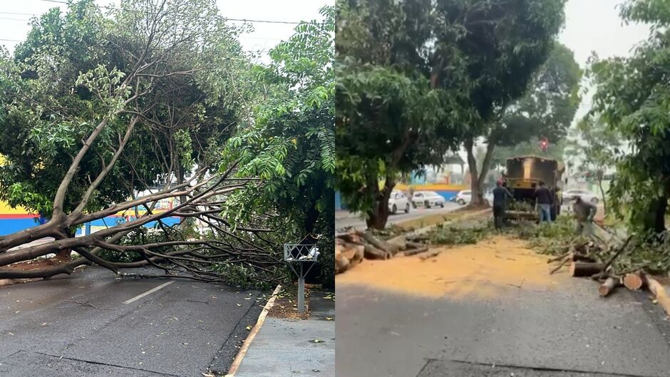 Avenida deve ser liberada ainda nesta amanhã