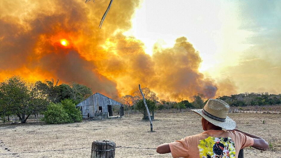 Pantanal está em risco devido a vários fatores, mas ação humana tem forte impacto