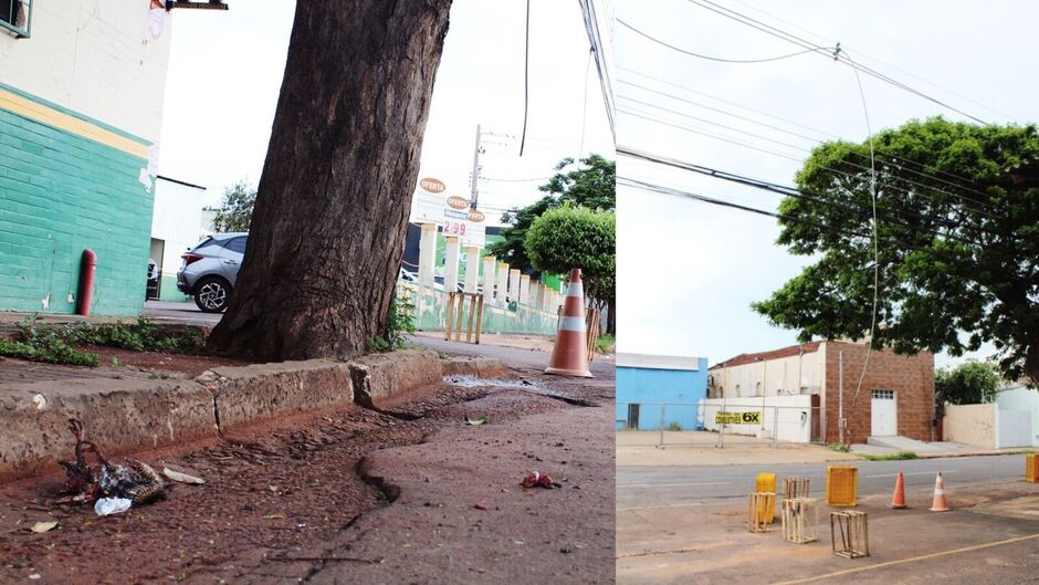 Caso ocorreu perto da Rua da Liberdade 