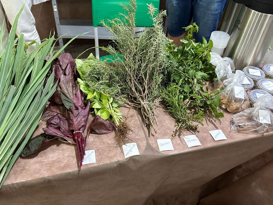 Evento de biologia e química em escola de Camapuã aborda temas sobre a vida e a realidade humano 