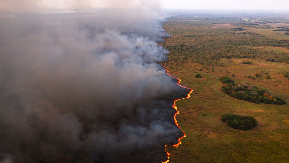 Fogo devastou boa parte do Pantanal em MS